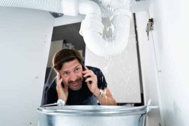 Best Local Plumber Services  in Sprague, WV